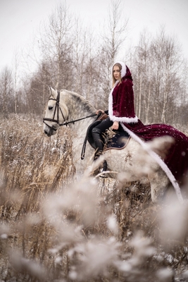 Незабываемые прогулки на лошадях со скидкой до 50% от частной конюшни «Ворожба» Незабываемые прогулки на лошадях со скидкой до 50% от частной конюшни «Ворожба»