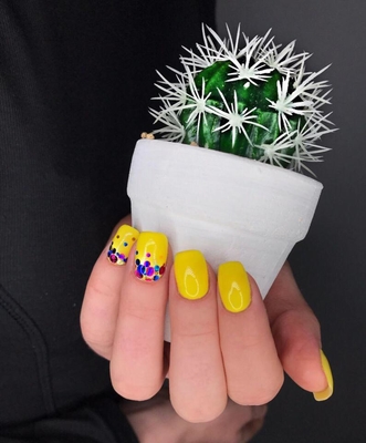 Студии красоты «Шиповник»