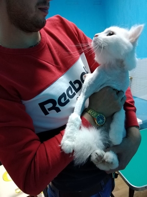 Груминг на Октябрьской, 80А