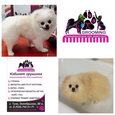 Груминг на Октябрьской, 80А