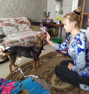 Happy Dog — зоопсихолог-кинолог Галина Козлова