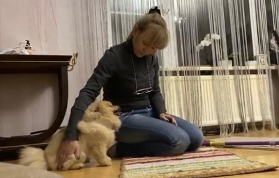 Happy Dog — зоопсихолог-кинолог Галина Козлова