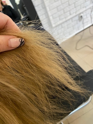 Салон «Территория красоты»