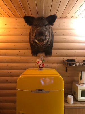 Настоящая русская баня на дровах со скидкой до 65%!