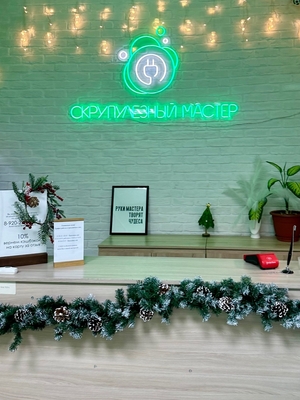 Скрупулезный мастер, ремонт бытовой техники