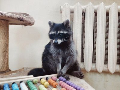 Центр социальной реабилитации  Енотоград