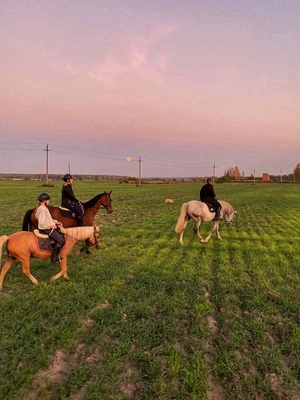 Ворожба, конюшня