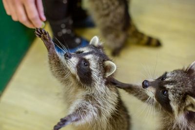 Центр социальной реабилитации  Енотоград