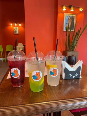 Кафе Суп с котом