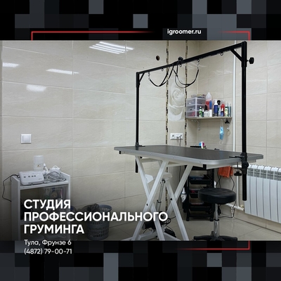 Груминг на фрунзе