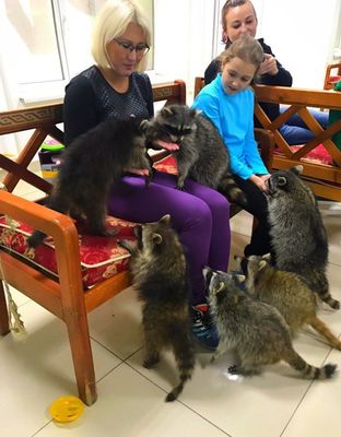 Центр социальной реабилитации  Енотоград