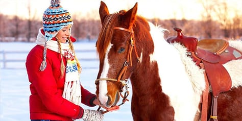 Сказочные прогулки со скидкой до 57% от конного клуба «ПРЕСТИЖ»! Ждем Вас!