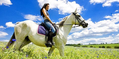 Сказочные прогулки со скидкой до 57% от конного клуба «ПРЕСТИЖ»! Ждем Вас!
