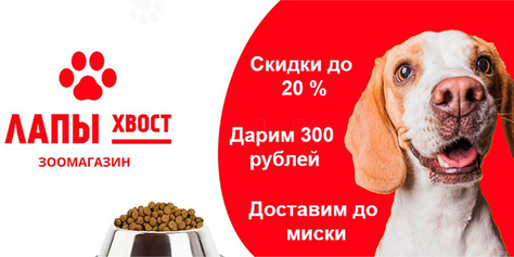Побалуйте своих хвостатых друзей со скидкой до 20% от зоомагазина «ЛАПЫ хвост»