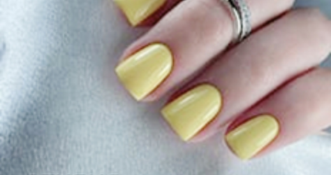 Студия Анны Бригадировой (бывшая Лепота)