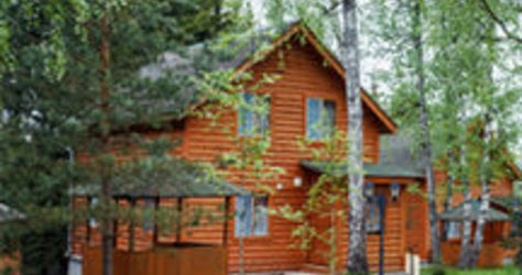 База отдыха Березовая роща