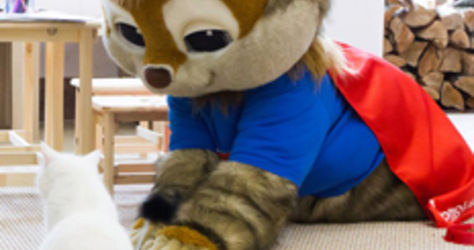 Мур кафе Кошки в окошке