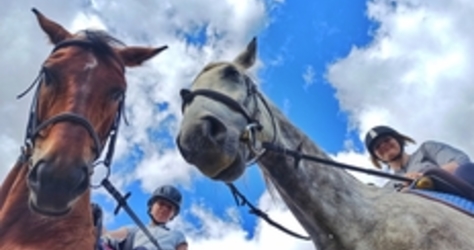 Ворожба, конюшня