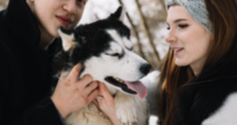 Хаски Блюз, катание в собачьей упряжке