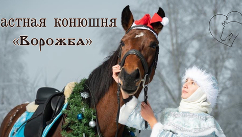 Незабываемые прогулки на лошадях со скидкой до 50% от частной конюшни «Ворожба»