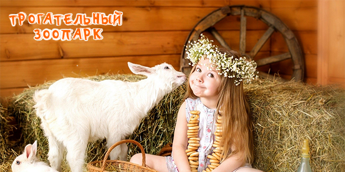 Трогательный зоопарк для взрослых и детей! Скидка 50% на входной билет! Трогательный зоопарк для взрослых и детей! Скидка 50% на входной билет!